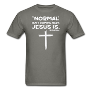 Normal Isn't Coming Back Mens T-Shirt - charcoal